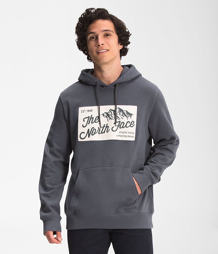 Sudadera Con Capucha The North Face Hombre Holiday Gris - Peru 27134SXWP